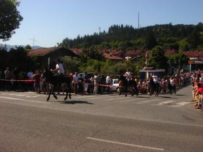 XXX EDICIÓN DE LA CARRERA DE BURROS DE ARETA